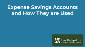 Expense Savings Accounts and How They are Used - click to play