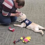 picture of puppy and Kim